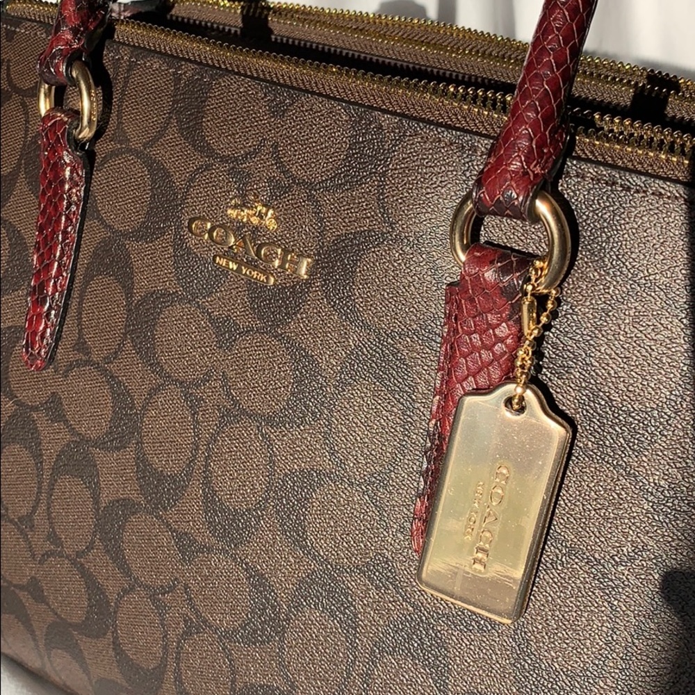 GORGEOUS Coach Exotic Surry